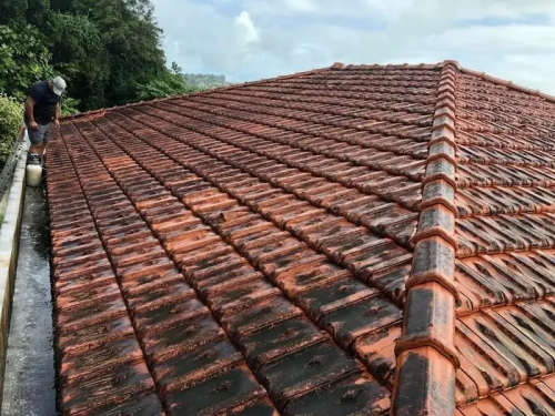 Exemple démoussage de toiture